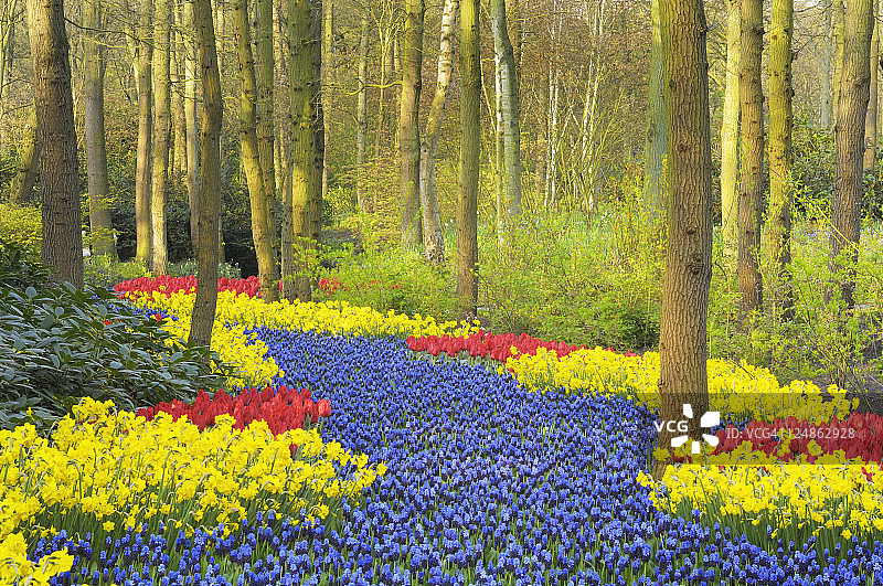 春季花园设计图片素材