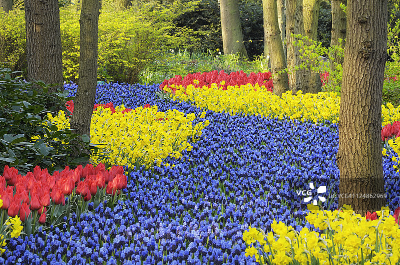 春季花园设计图片素材