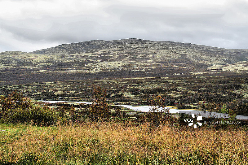 地衣景观图片素材