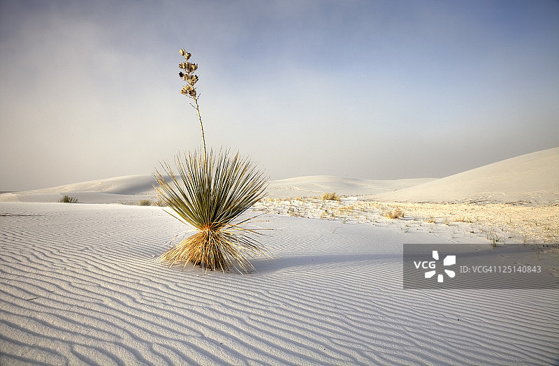 新墨西哥州白沙国家纪念碑图片素材