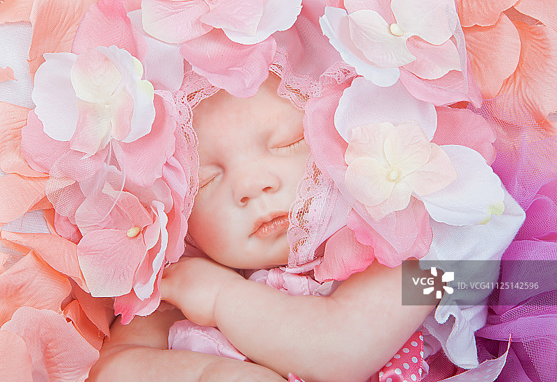 花丛中的新生女婴图片素材