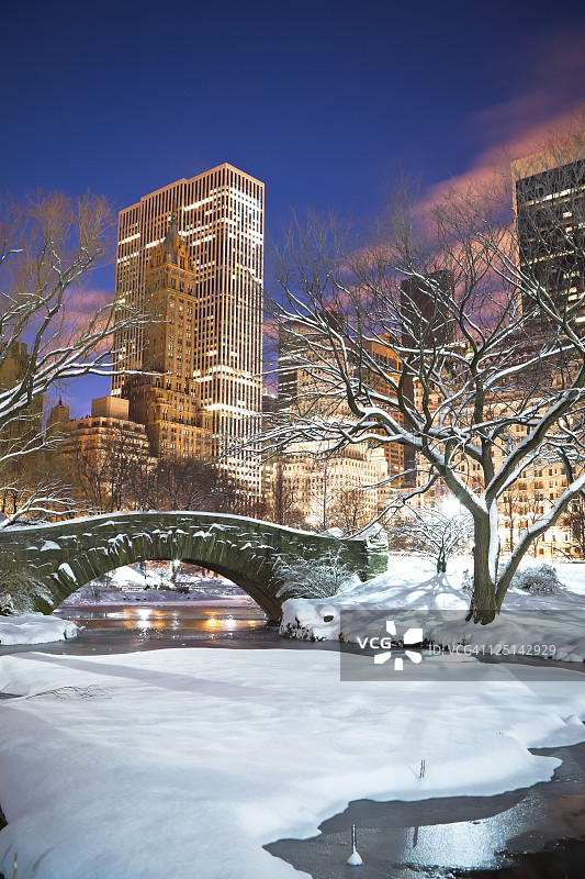 纽约市的盖普斯托桥图片素材