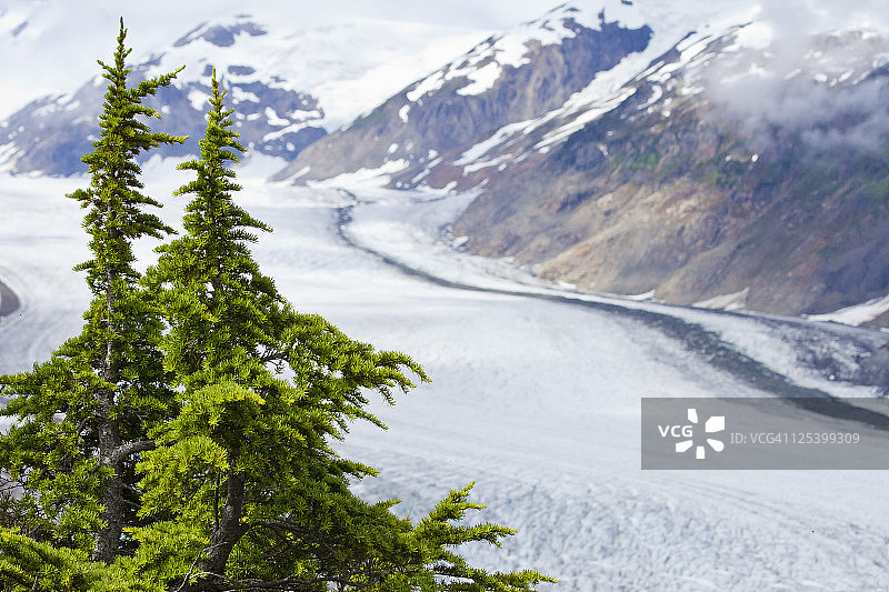 三文鱼冰川图片素材