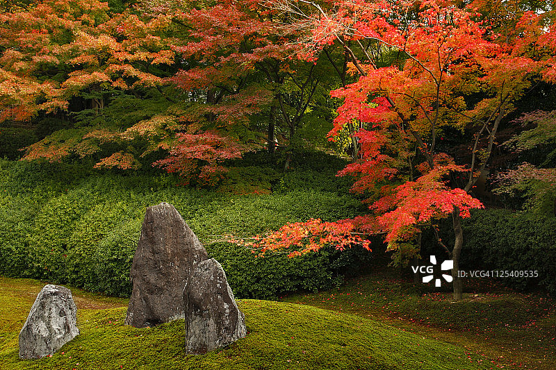秋日花园图片素材