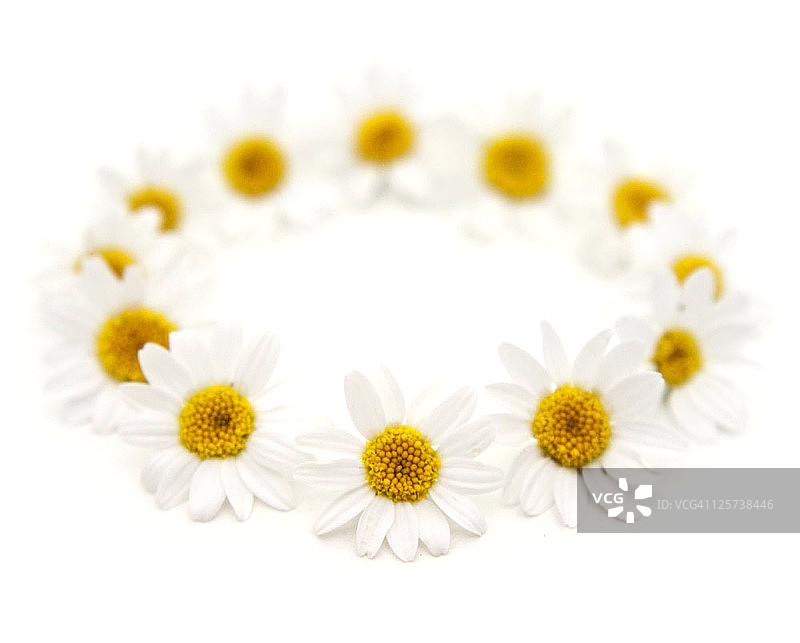白色雏菊花环图片素材