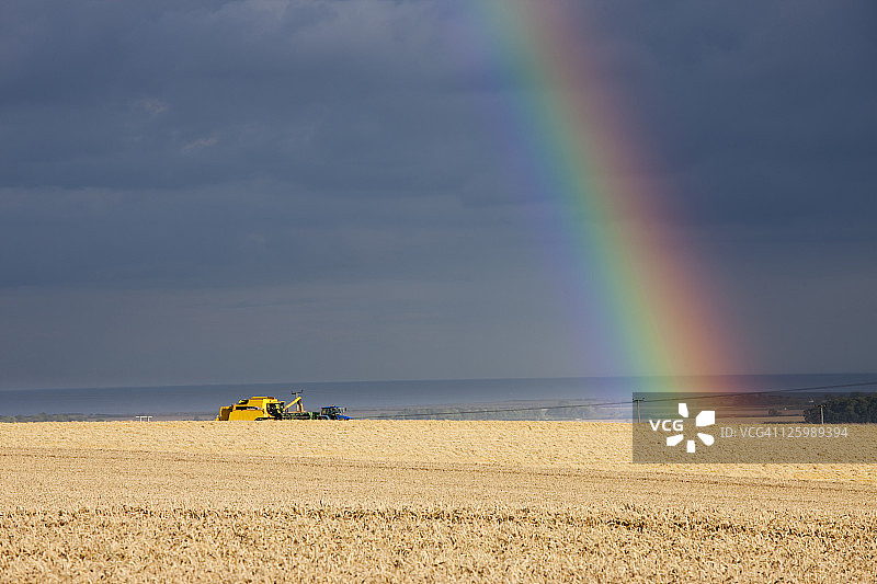 英国东约克郡：夏季雨后麦田上的联合收割机与彩虹图片素材