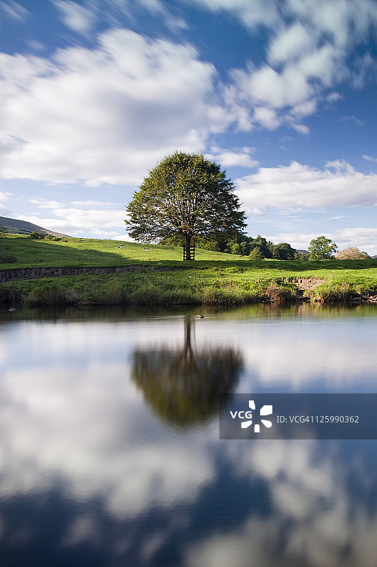 在英国兰开夏郡鲍兰森林惠特韦尔附近的霍德河中倒映的树图片素材