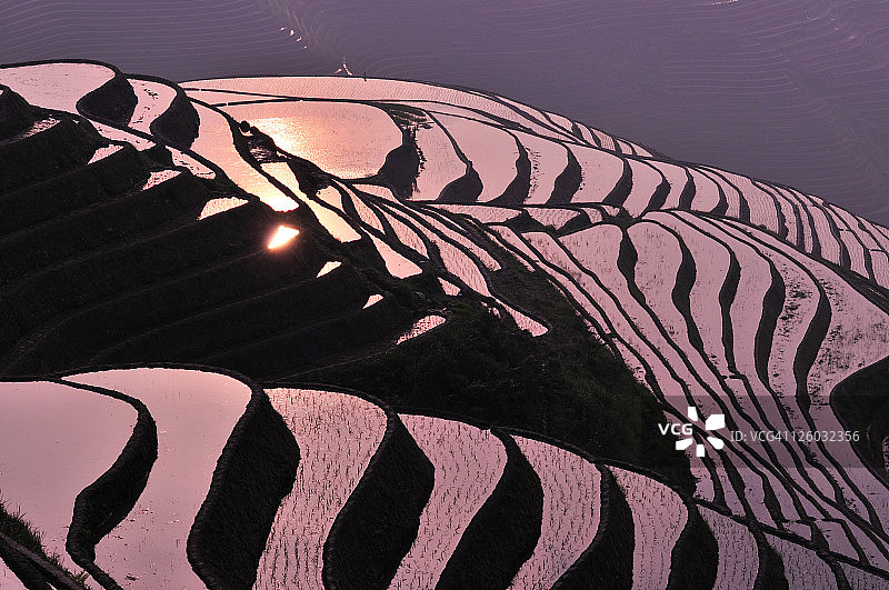 桂林阳朔金坑梯田图片素材