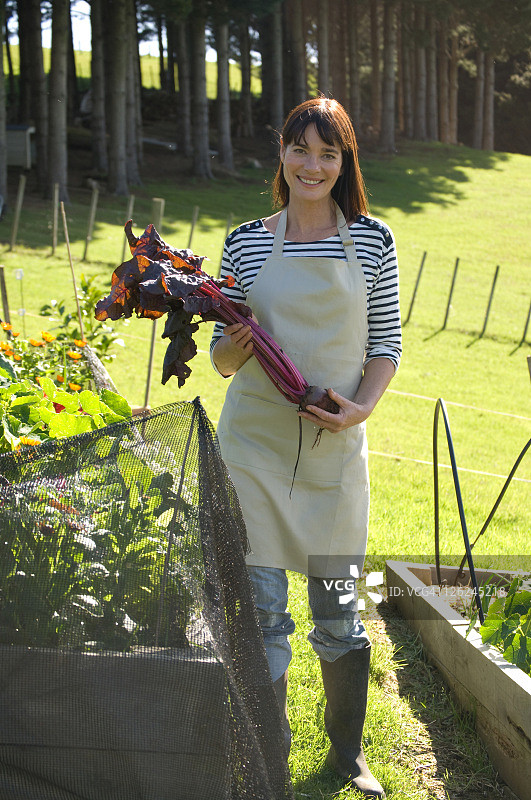 乡村厨房花园图片素材