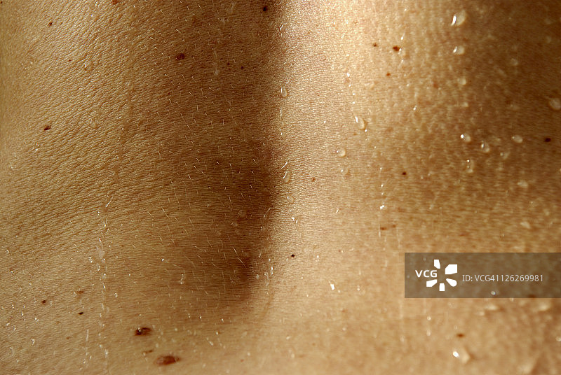 白人女人的下背部图片素材