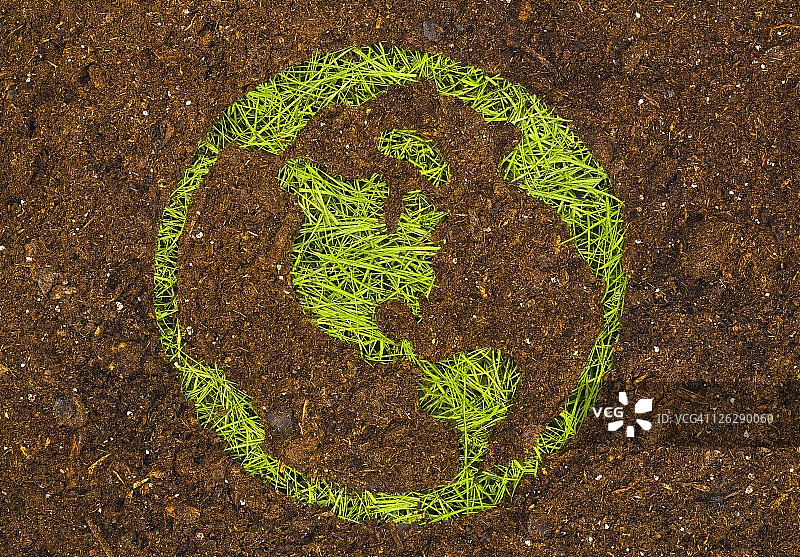 生长成地球形状的草图片素材