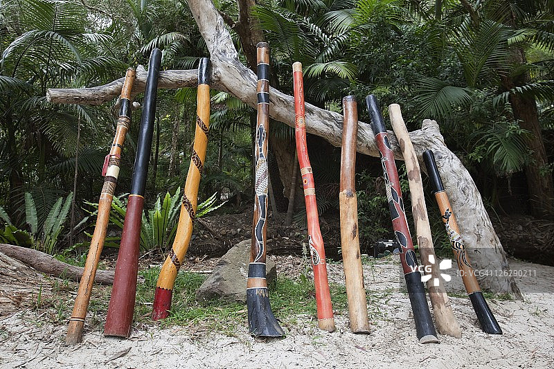一排排迪吉里杜管乐器靠在树枝上图片素材