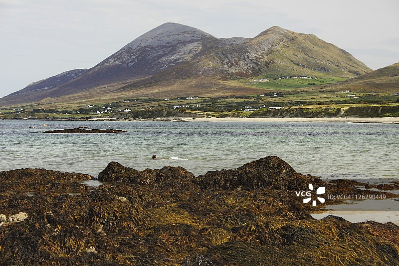 康纳克特地区老海岬海滩的克罗帕特里克山景观图片素材