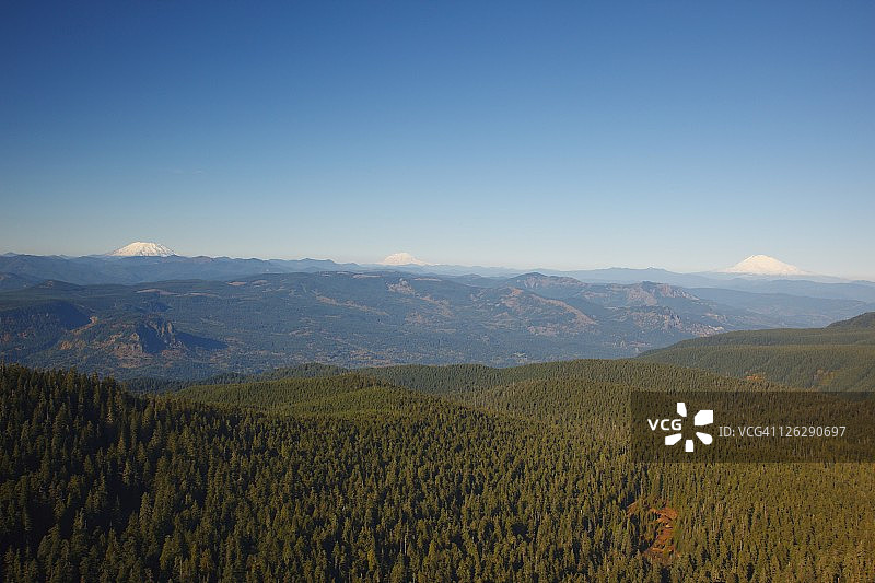 从落叶松山看圣海伦斯山、雷尼尔山和亚当斯山图片素材