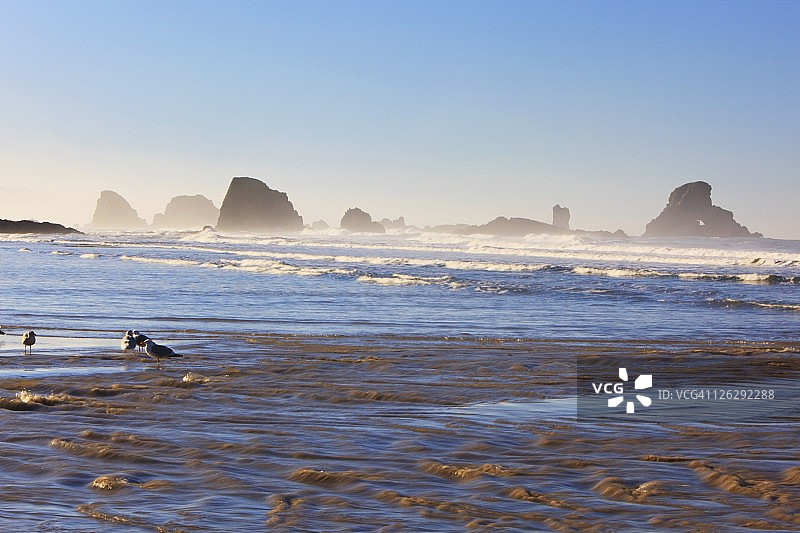 印度海滩的潮汐图片素材