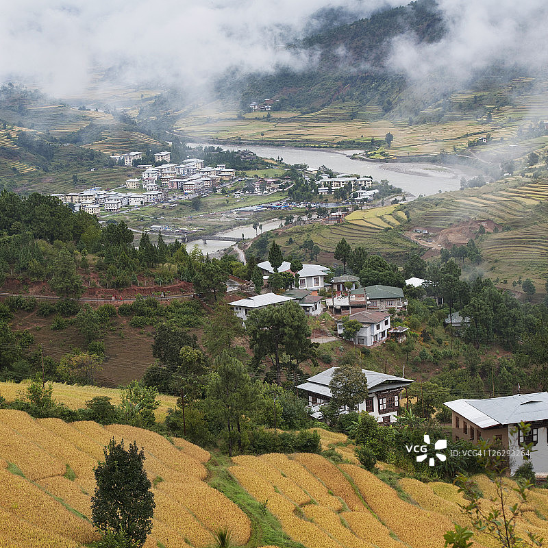 山谷中的梯田和房屋景色图片素材