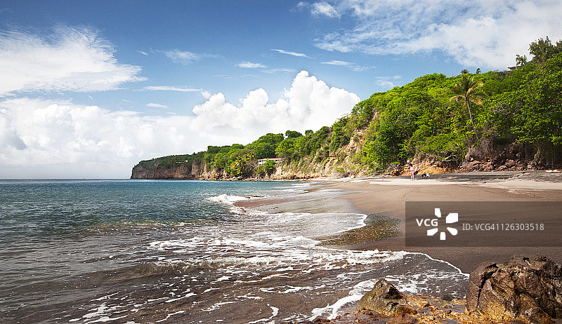 林地海滩图片素材