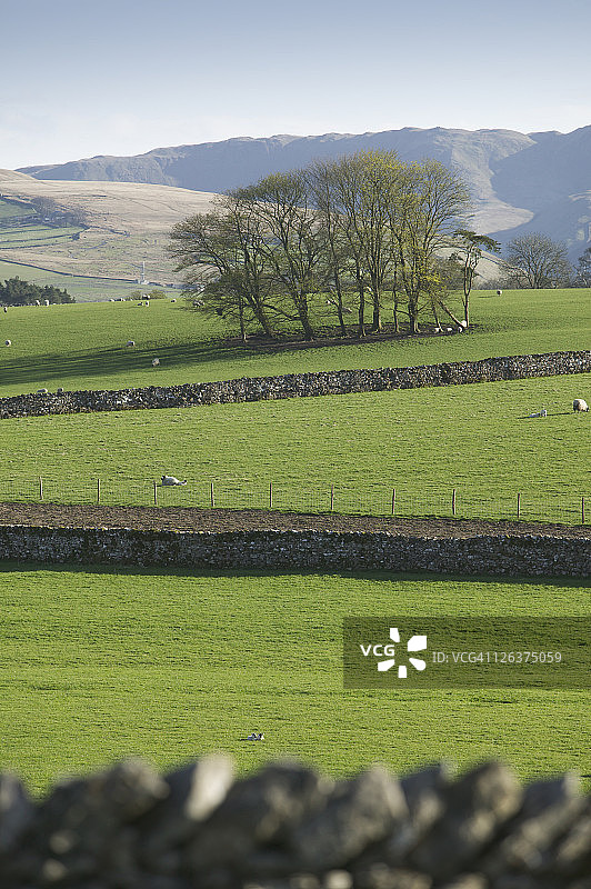 从奥顿观看豪吉尔丘陵和早春牧场图片素材