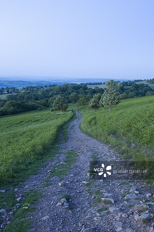 黄昏时分萨默塞特郡门迪普山的Bridleway小路图片素材