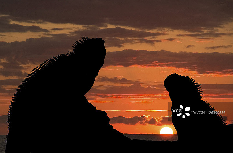 夕阳西下的天空衬托出男人的轮廓图片素材