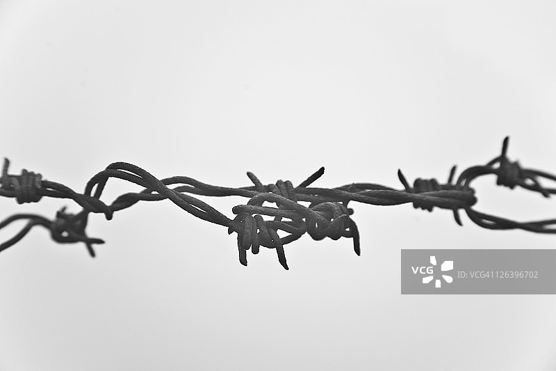 晴空下的铁丝网围栏特写图片素材