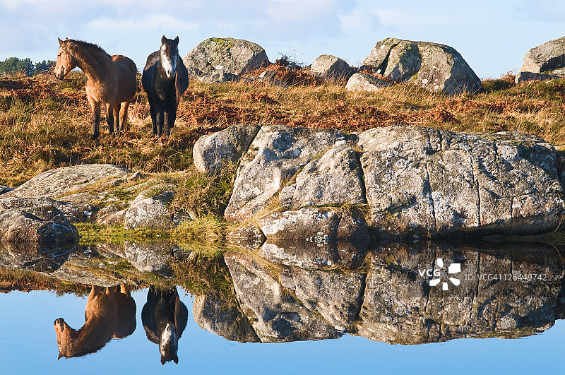 站在岩石上的人的后视图图片素材