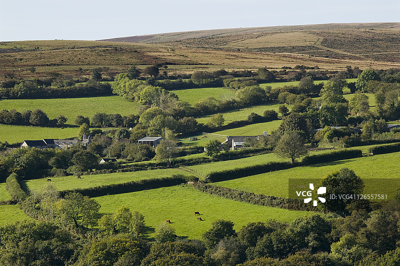 英国德文郡达特穆尔国家公园霍尔恩周围的农田图片素材