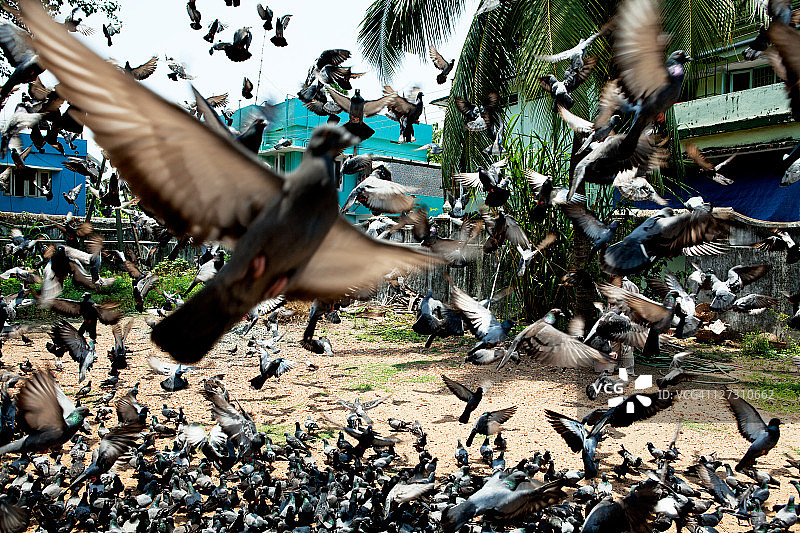 科钦堡图片素材