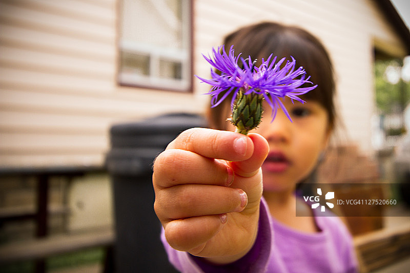 在花园里手捧紫花的小女孩图片素材