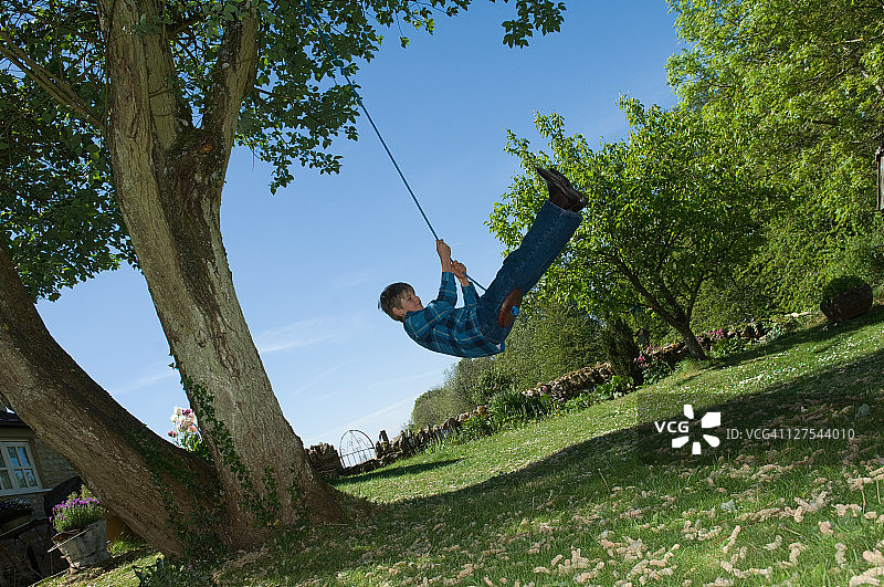 男孩在后院的树上荡秋千图片素材