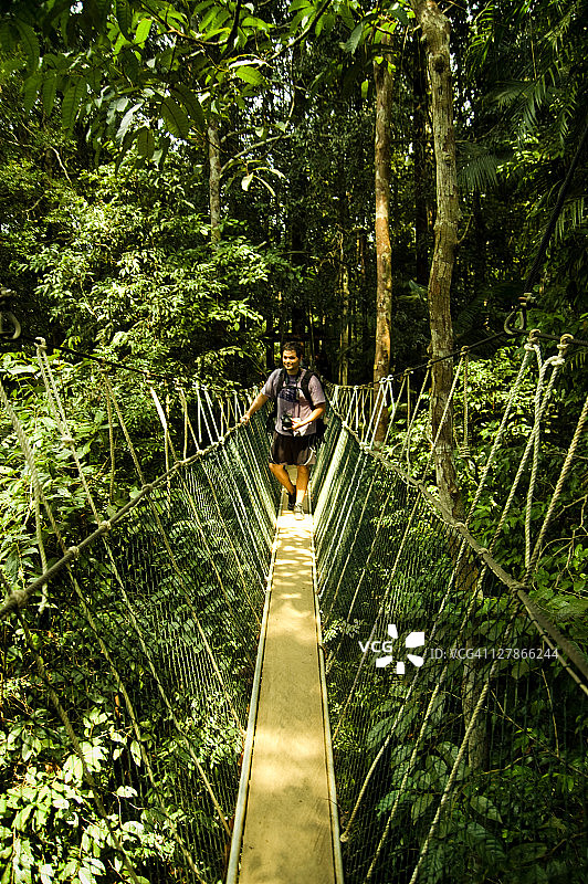 在树冠走道上的徒步旅行者图片素材