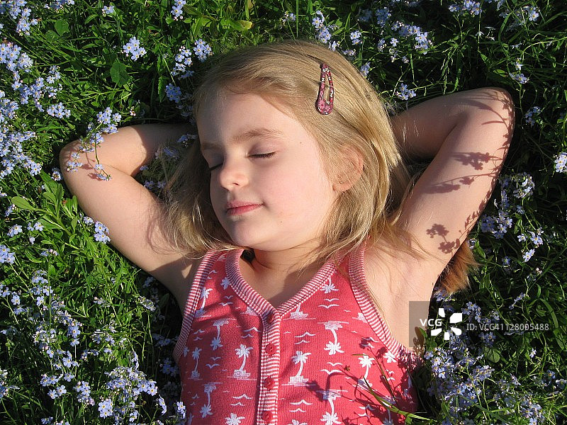 小女孩躺在紫色花田中图片素材