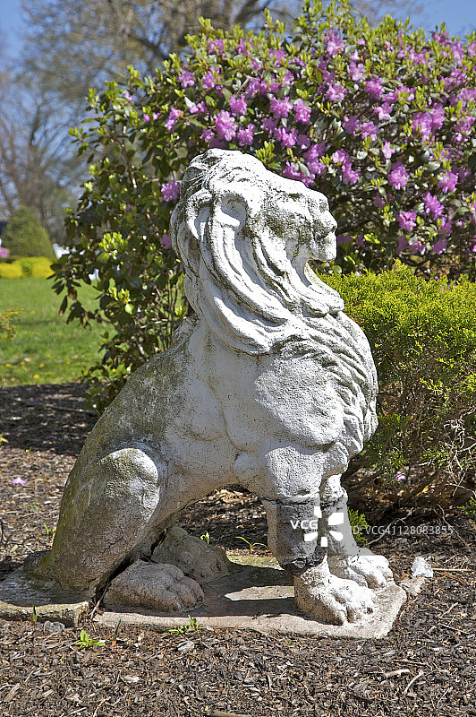 美国马萨诸塞州安多弗的混凝土狮子雕塑图片素材