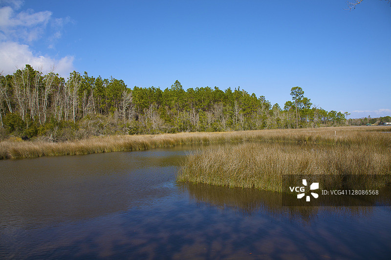 阿拉巴马州莫比尔湾河口保护区贝灵拉斯花园景色图片素材