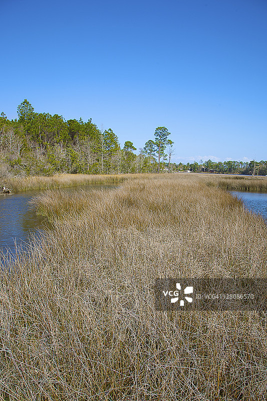 阿拉巴马州莫比尔湾河口保护区贝灵拉斯花园景色图片素材