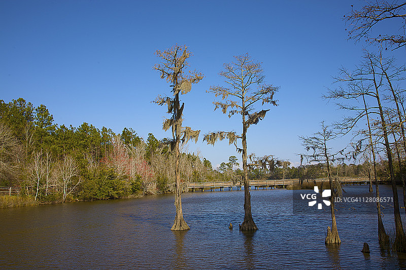 阿拉巴马州莫比尔湾河口保护区贝灵拉斯花园景色图片素材