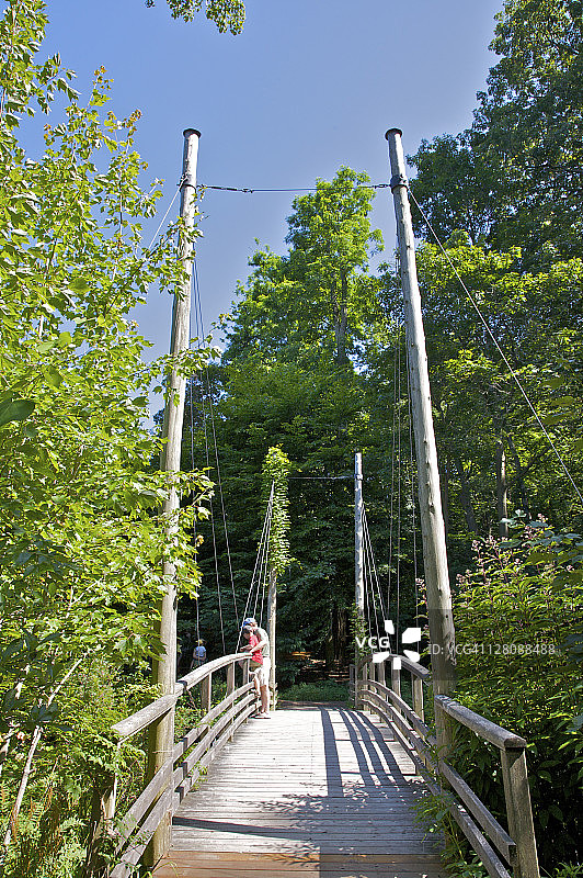 美国纽约州石溪市公共花园的桥梁图片素材