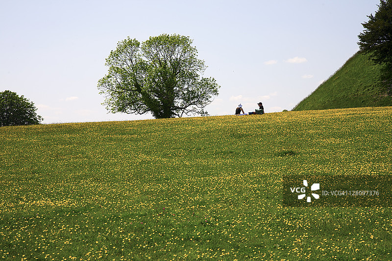 人们在遍布野花的山顶上休息，索尔兹伯里旧萨鲁姆，英国图片素材