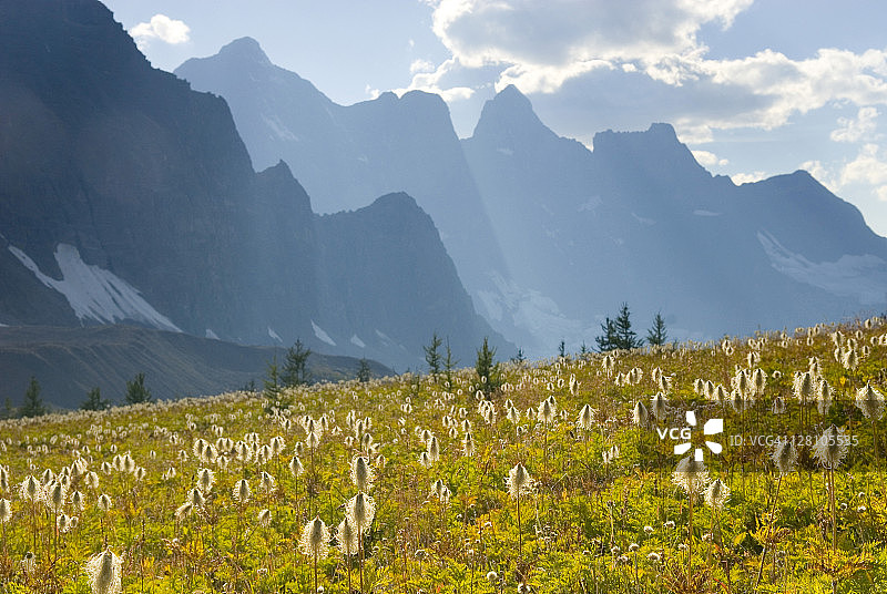 加拿大不列颠哥伦比亚省库特尼国家公园的古德希尔山图片素材