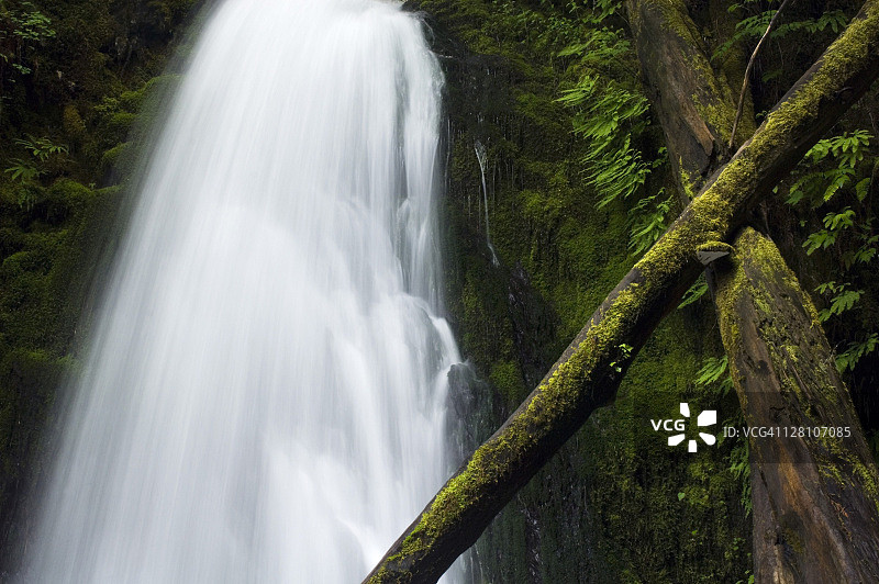 美国华盛顿州奥林匹克国家公园埃尔瓦河谷狼溪瀑布图片素材