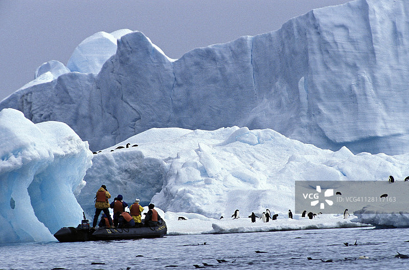 南极半岛：冰山中巡游的海豹和蓝色冰川图片素材