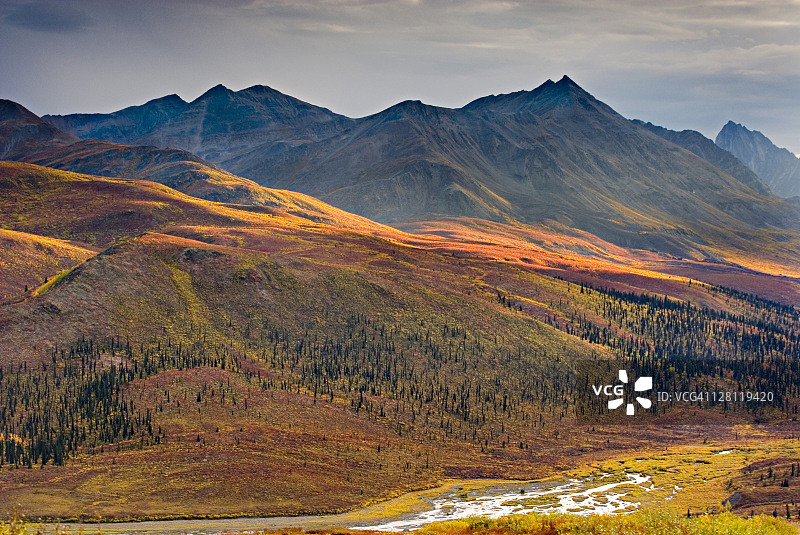 加拿大育空地区墓碑领地公园北克朗代克河谷图片素材