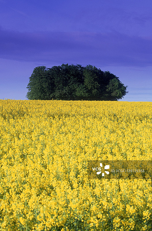科茨沃尔德丘陵，英国图片素材