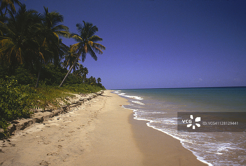 尼维斯岛Pinney海滩的白色沙滩图片素材