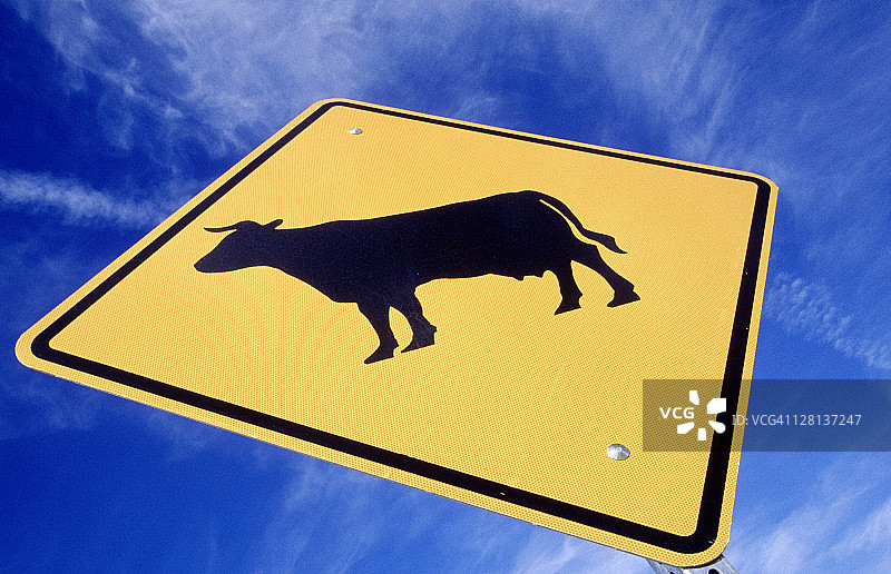 牛穿行马路警示牌图片素材