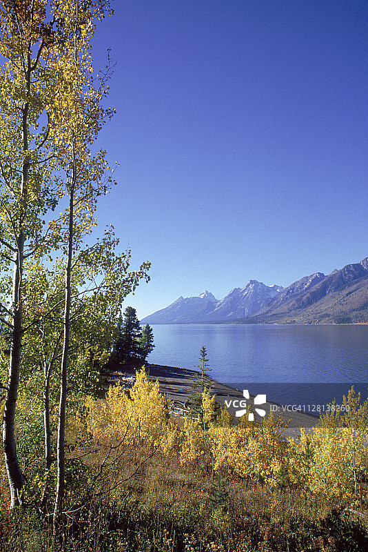 怀俄明州大提顿国家公园杰克逊湖图片素材