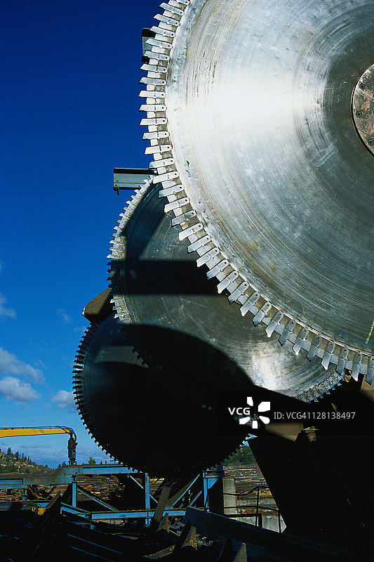 原木锯片，加利福尼亚州杂草图片素材