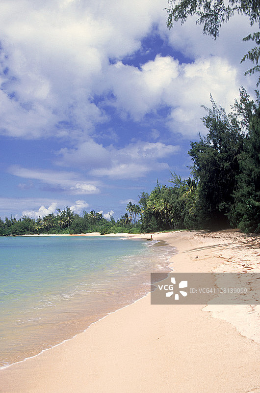 夏威夷瓦胡岛北部卡胡库图片素材