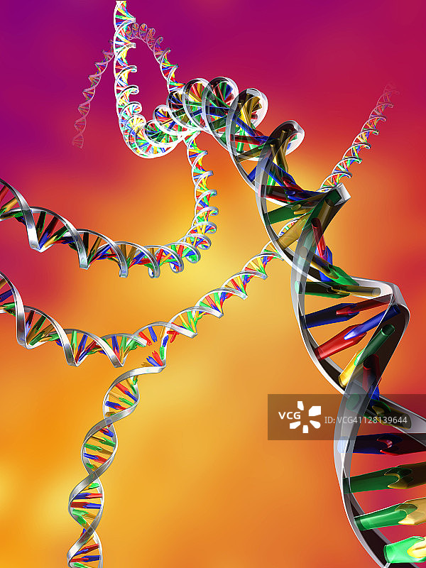 电脑绘制的DNA图片素材