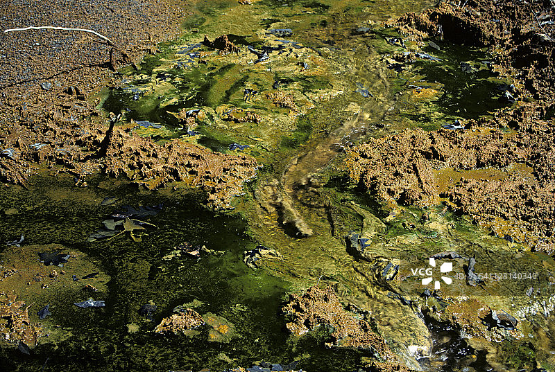 美国俄亥俄州杰克逊县酸性矿山中生长的藻类图片素材